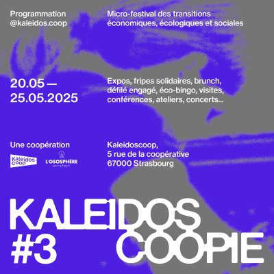 La CRESS Grand Est partenaire de Kaleidoscopie#3