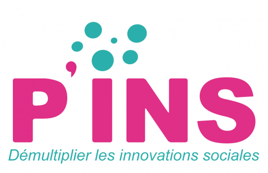 Programme P'INS : démultiplier les innovations sociales !